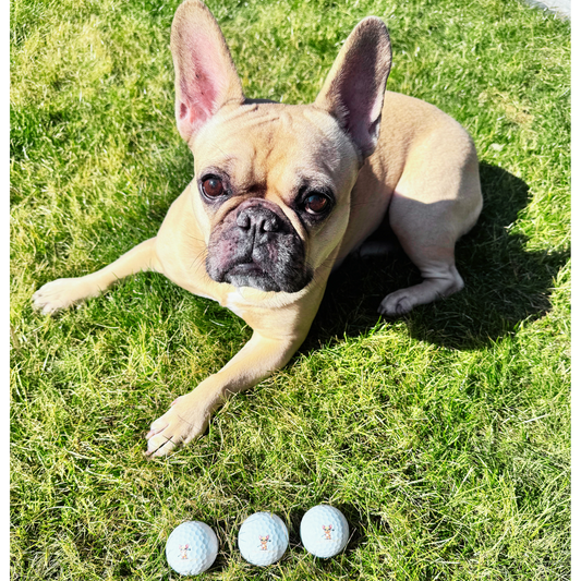 Balles de golf premium VICE Drive Holly Golfwear avec logo